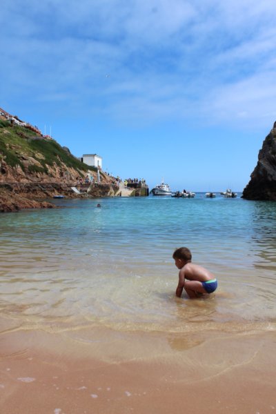 ^572C326B5ADC7D31FBA7F184A4A512BB549A73221AF49E36E6^pimgpsh_fullsize_distr